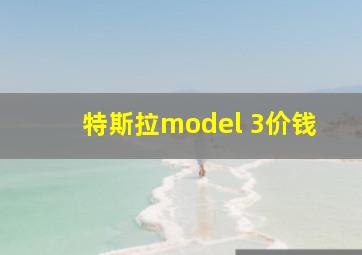 特斯拉model 3价钱